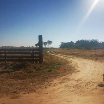 Campo Agrícola en Alberdi, Santiago del Estero