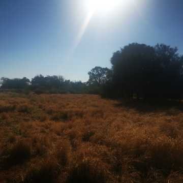 Campo Agrícola en Alberdi, Santiago del Estero