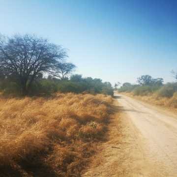 Campo Agrícola en Alberdi, Santiago del Estero