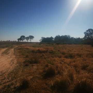 Campo Agrícola en Alberdi, Santiago del Estero