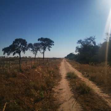 Campo Agrícola en Alberdi, Santiago del Estero