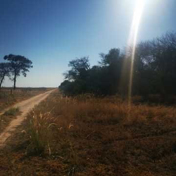 Campo Agrícola en Alberdi, Santiago del Estero