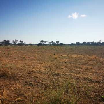Campo Agrícola en Alberdi, Santiago del Estero