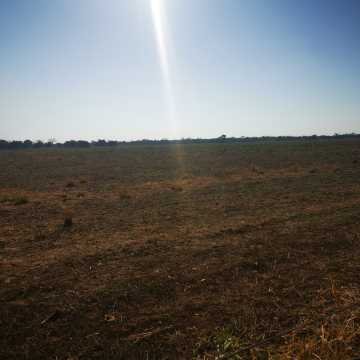 Campo Agrícola en Alberdi, Santiago del Estero