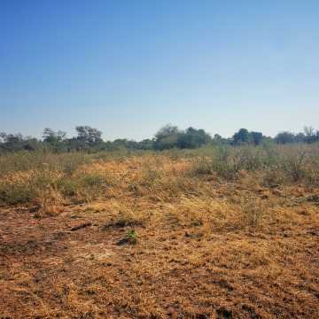 Campo Agrícola en Alberdi, Santiago del Estero