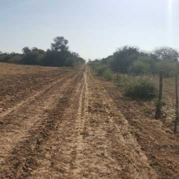 Campo Agrícola en Alberdi, Santiago del Estero