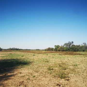 Campo Agrícola en Alberdi, Santiago del Estero