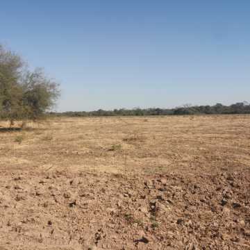 Campo Agrícola en Alberdi, Santiago del Estero