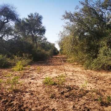 Campo Agrícola en Alberdi, Santiago del Estero