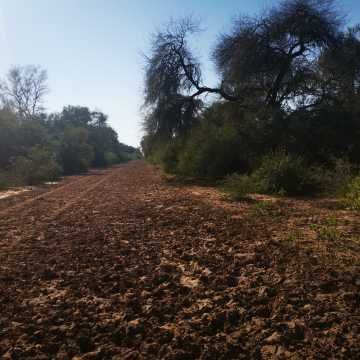 Campo Agrícola en Alberdi, Santiago del Estero