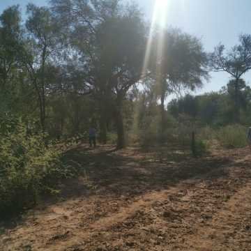 Campo Agrícola en Alberdi, Santiago del Estero