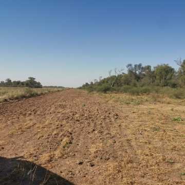 Campo Agrícola en Alberdi, Santiago del Estero