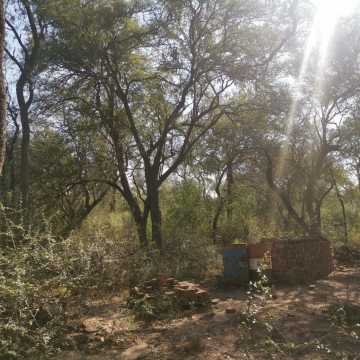 Campo Agrícola en Alberdi, Santiago del Estero