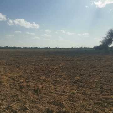 Campo Agrícola en Alberdi, Santiago del Estero