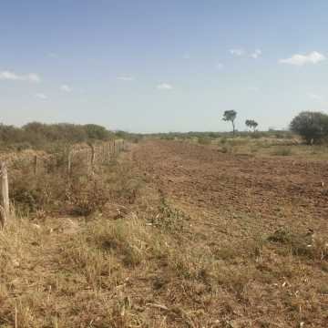 Campo Agrícola en Alberdi, Santiago del Estero