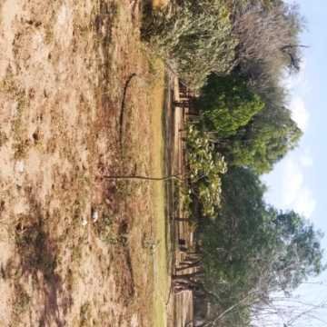 Campo Agrícola en Alberdi, Santiago del Estero