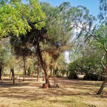 Campo Agrícola en Alberdi, Santiago del Estero