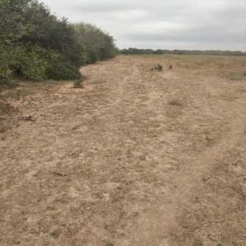 Campo Mixto en Figueroa, Santiago del Estero