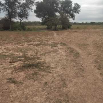 Campo Mixto en Figueroa, Santiago del Estero
