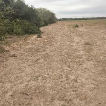 Campo Mixto en Figueroa, Santiago del Estero