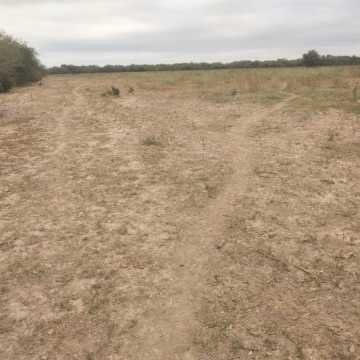 Campo Mixto en Figueroa, Santiago del Estero