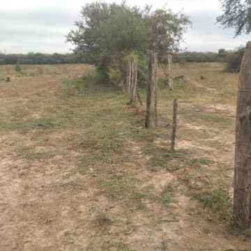Campo Mixto en Figueroa, Santiago del Estero