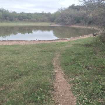 Campo Mixto en Figueroa, Santiago del Estero