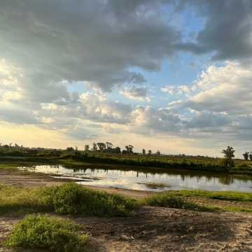 Campo Agrícola-Ganadero en Beltrán, Santiago del Estero