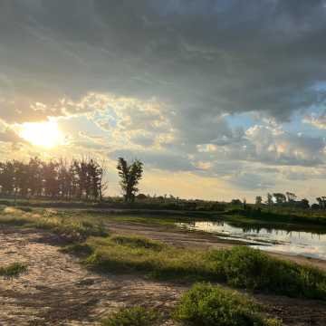 Campo Agrícola-Ganadero en Beltrán, Santiago del Estero