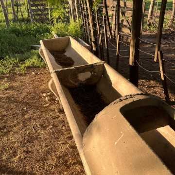 Campo Agrícola-Ganadero en Beltrán, Santiago del Estero