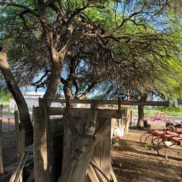 Campo Agrícola-Ganadero en Beltrán, Santiago del Estero