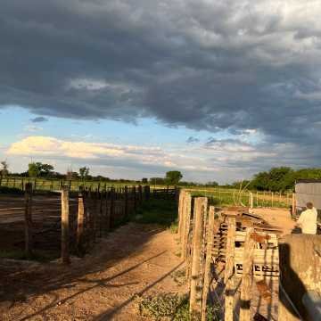 Campo Agrícola-Ganadero en Beltrán, Santiago del Estero