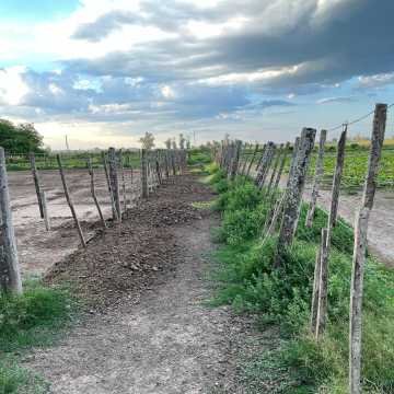 Campo Agrícola-Ganadero en Beltrán, Santiago del Estero