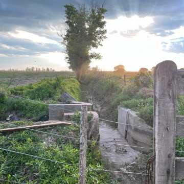 Campo Agrícola-Ganadero en Beltrán, Santiago del Estero