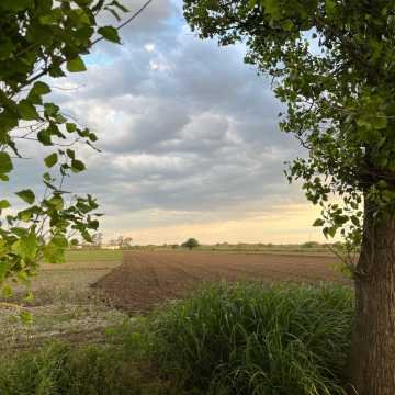 Campo Agrícola-Ganadero en Beltrán, Santiago del Estero