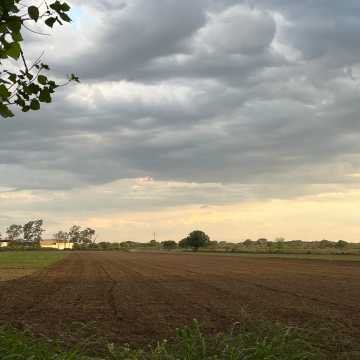 Campo Agrícola-Ganadero en Beltrán, Santiago del Estero
