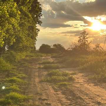 Campo Agrícola-Ganadero en Beltrán, Santiago del Estero