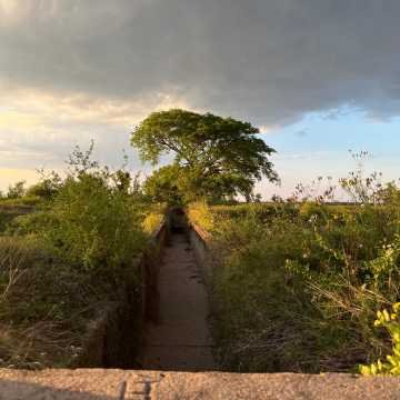 Campo Agrícola-Ganadero en Beltrán, Santiago del Estero