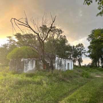 Campo Agrícola-Ganadero en Beltrán, Santiago del Estero