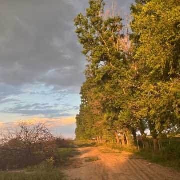 Campo Agrícola-Ganadero en Beltrán, Santiago del Estero