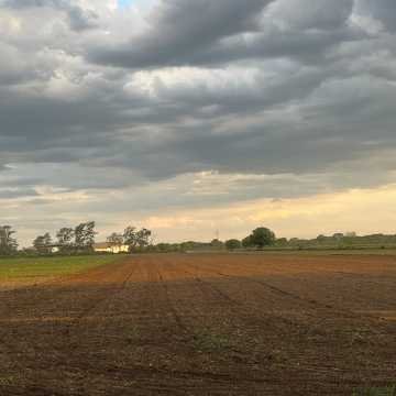 Campo Agrícola-Ganadero en Beltrán, Santiago del Estero