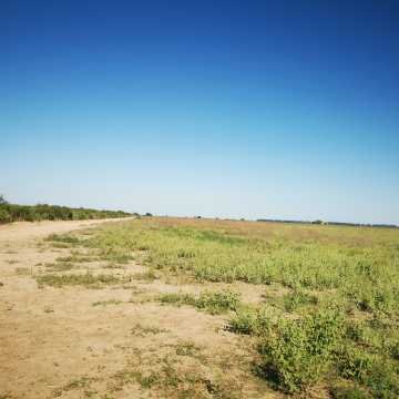 Campo Agrícola en Fernández, Santiago del Estero