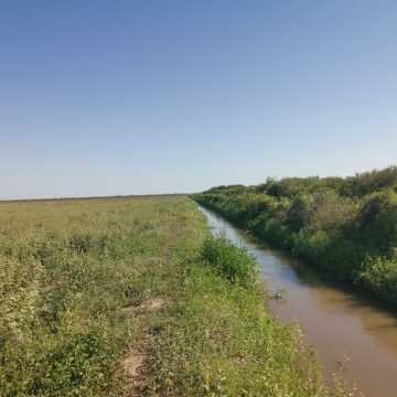 Campo Agrícola en Fernández, Santiago del Estero