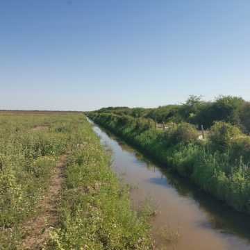 Campo Agrícola en Fernández, Santiago del Estero