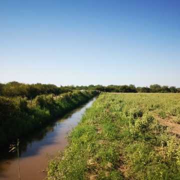Campo Agrícola en Fernández, Santiago del Estero