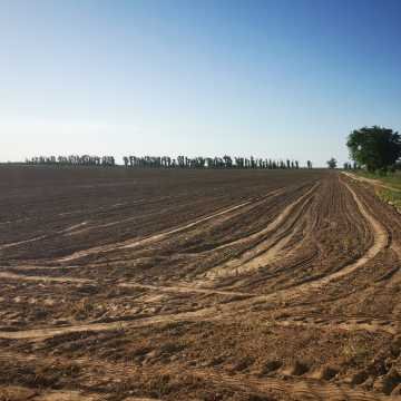 Campo Agrícola-Ganadero en Beltrán, Santiago del Estero