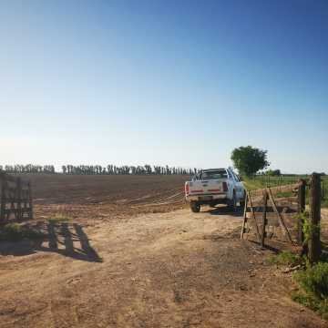 Campo Agrícola-Ganadero en Beltrán, Santiago del Estero