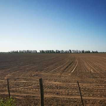 Campo Agrícola-Ganadero en Beltrán, Santiago del Estero