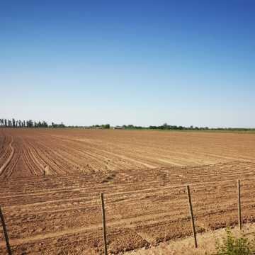 Campo Agrícola-Ganadero en Beltrán, Santiago del Estero
