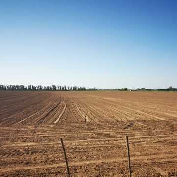 Campo Agrícola-Ganadero en Beltrán, Santiago del Estero